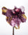 0847HB Headband, plum/gold