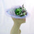 ZP5129WY Special Whimsy C: Lavender Green, periwinkle